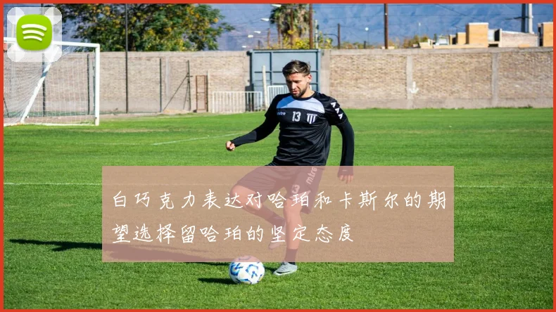 白巧克力表达对哈珀和卡斯尔的期望选择留哈珀的坚定态度