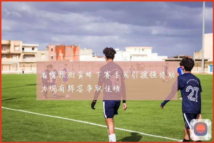 名嘴预测黄蜂下赛季或引援强将助力现有阵容争取佳绩